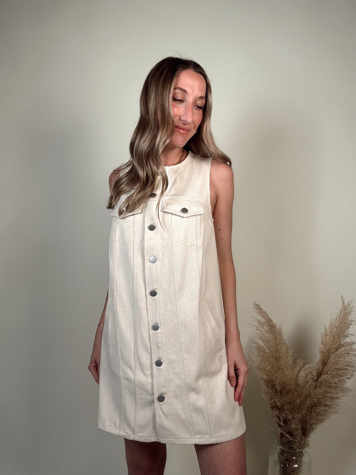 Becca Button Down Denim Dress