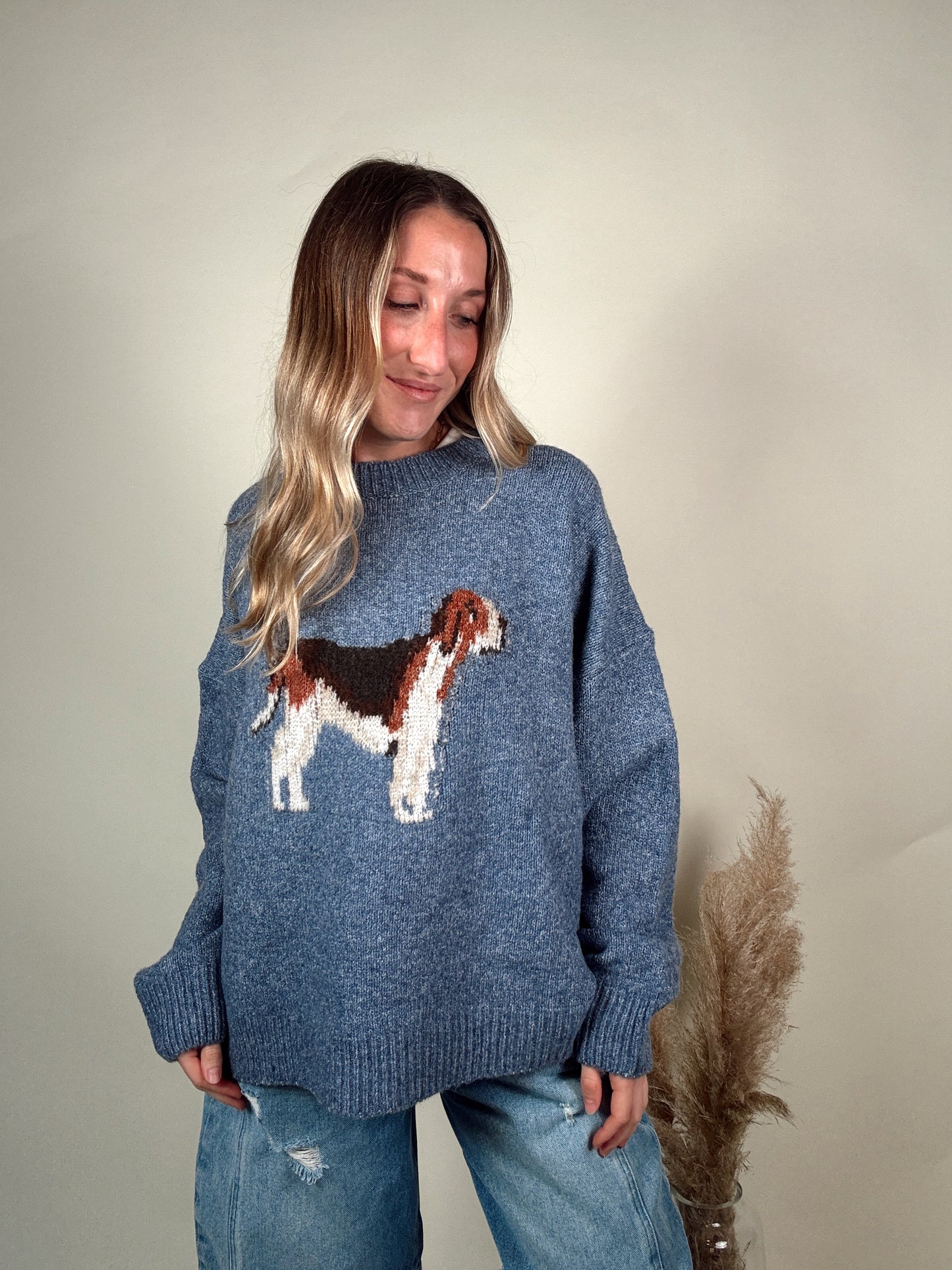 Rufus Hound Sweater - Blue