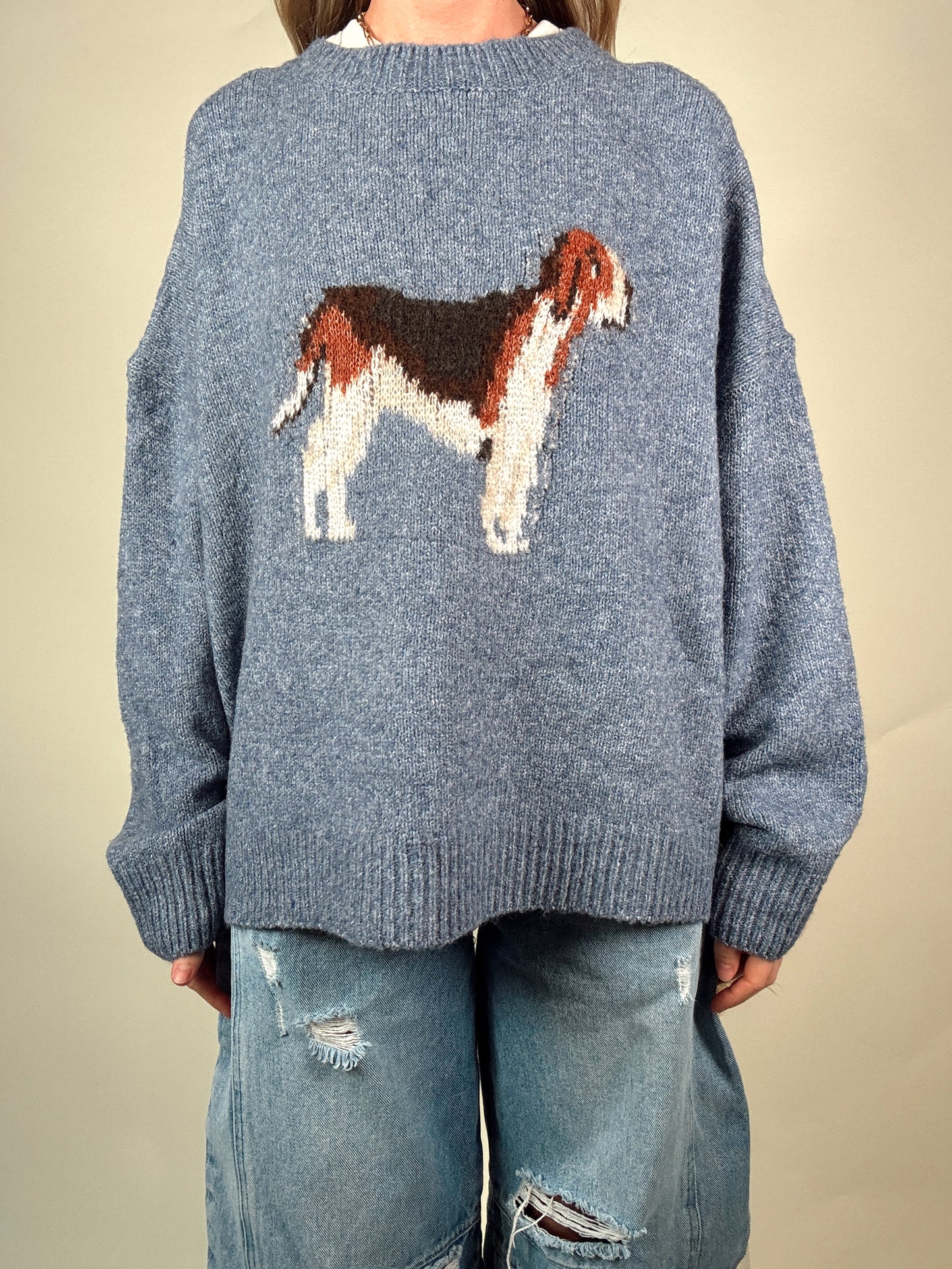 Rufus Hound Sweater - Blue