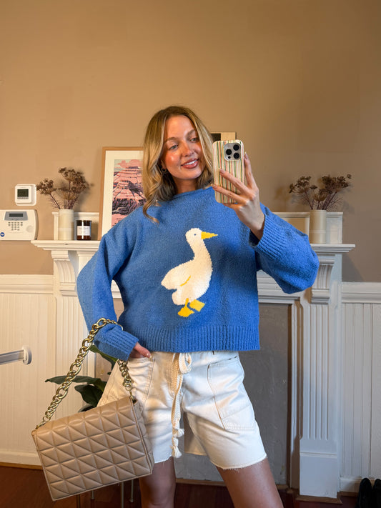 Duck Duck Goose Sweater