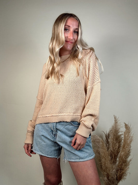 Longsleeve Open Knit Crochet Top